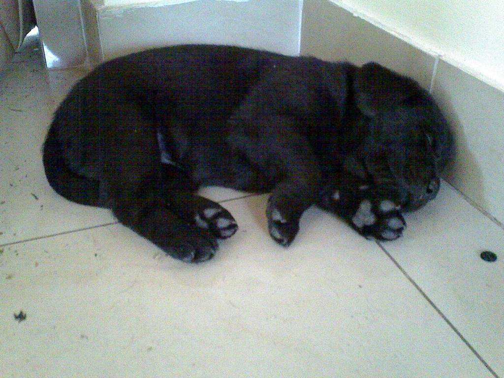../Images/Dsc00195.jpg