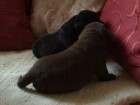 Thumbs/tn_Dsc00087.jpg