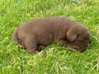 Thumbs/tn_Dsc00153.jpg