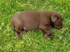 Thumbs/tn_Dsc00167.jpg