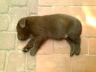 Thumbs/tn_Dsc00202.jpg