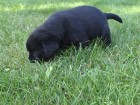 Thumbs/tn_Dsc00260.jpg
