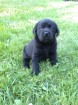Thumbs/tn_Dsc00262.jpg