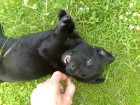 Thumbs/tn_Dsc00268.jpg