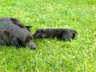 Thumbs/tn_Dsc00272.jpg
